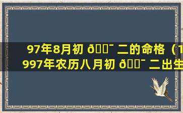 97年8月初 🐯 二的命格（1997年农历八月初 🐯 二出生女子是什么命）